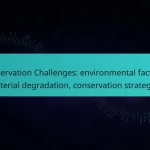 Preservation Challenges: environmental factors, material degradation, conservation strategies