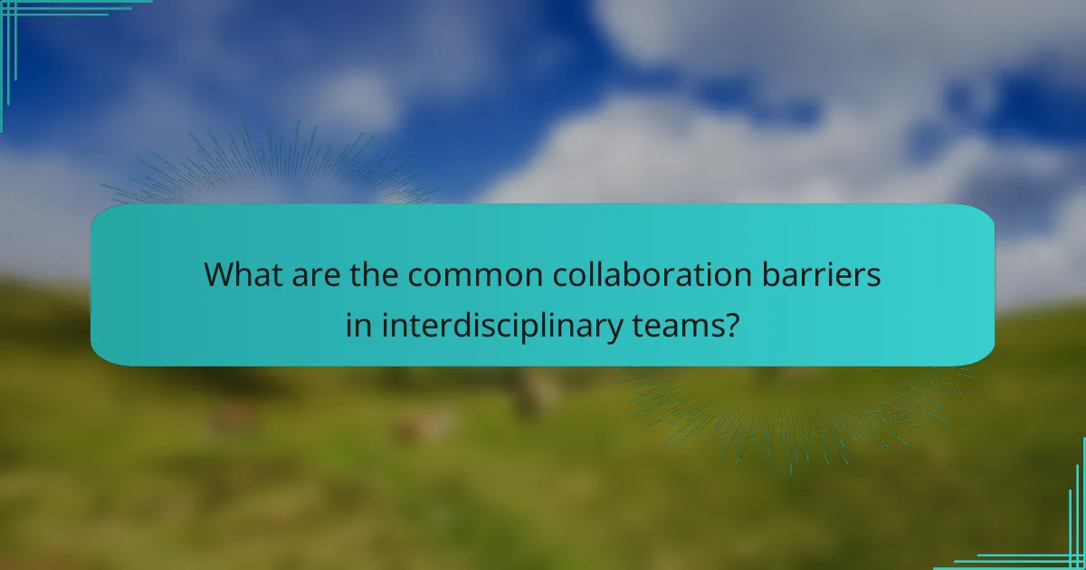What are the common collaboration barriers in interdisciplinary teams?