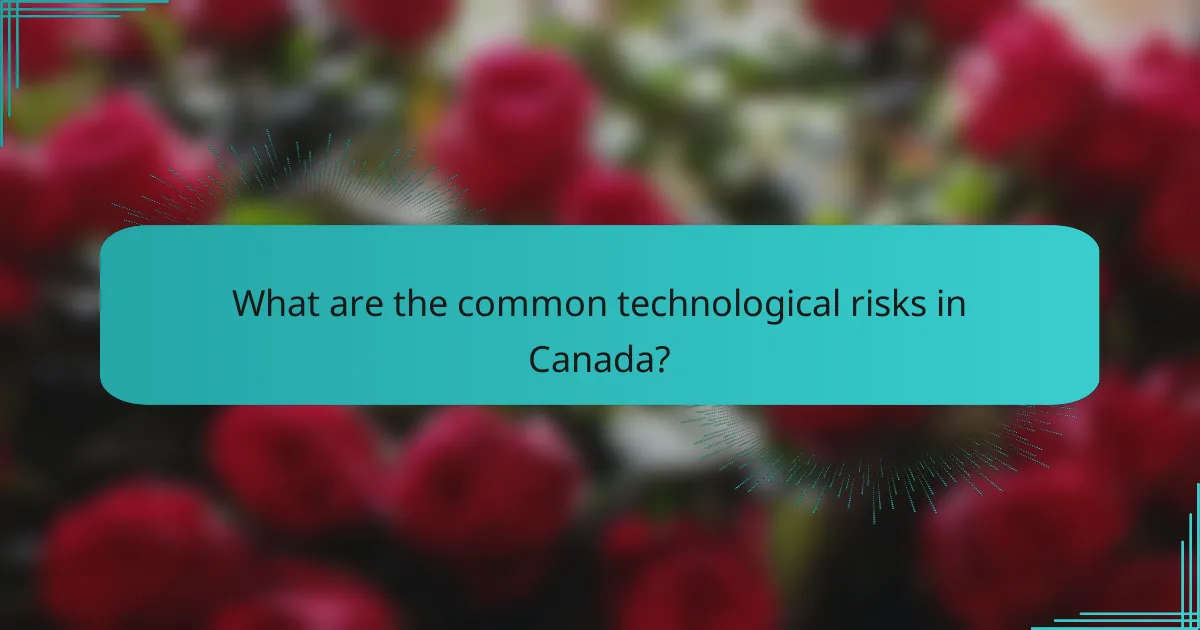 What are the common technological risks in Canada?