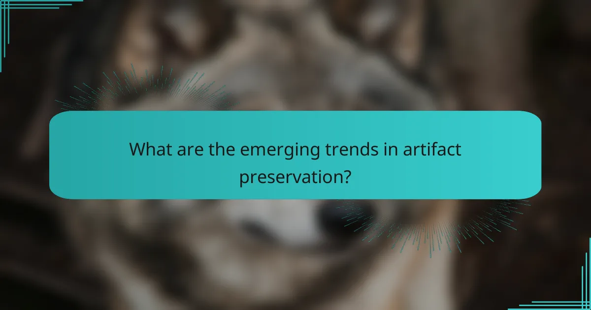 What are the emerging trends in artifact preservation?