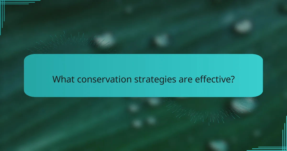 What conservation strategies are effective?
