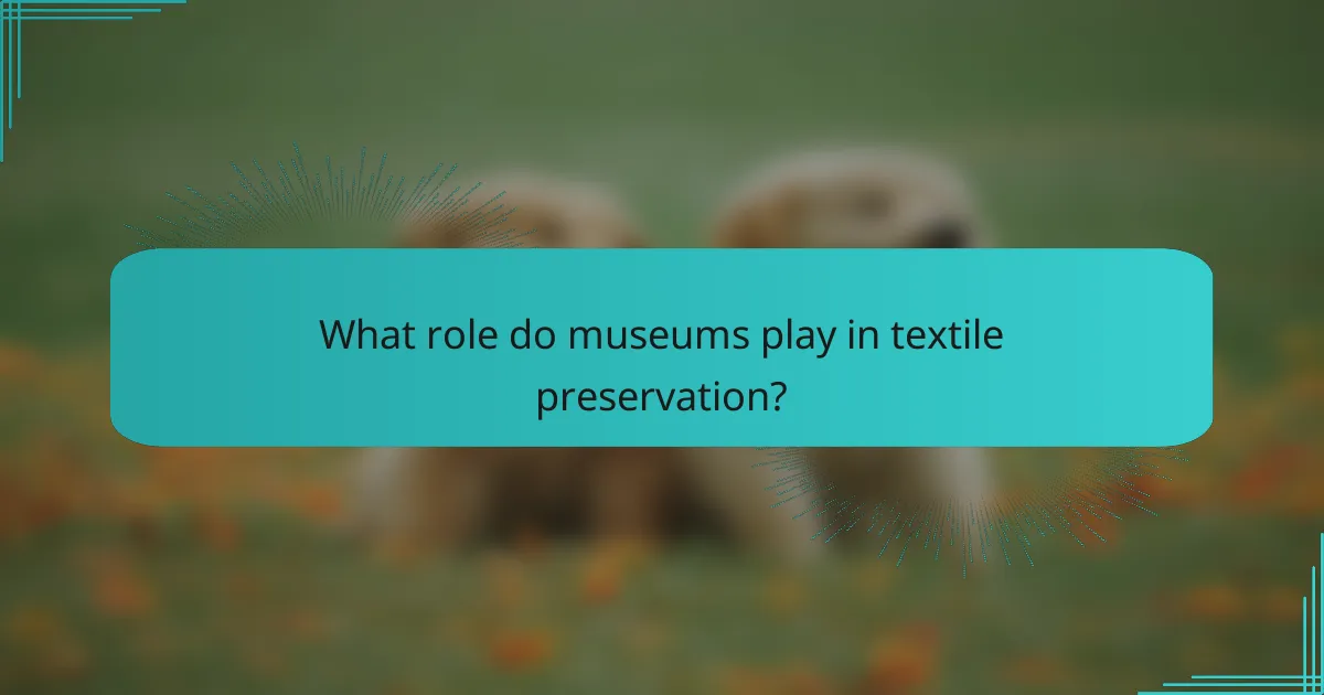 What role do museums play in textile preservation?